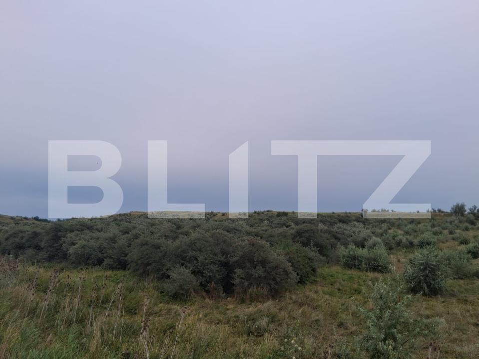 Teren de vânzare Soroceni - 204793TV | BLITZ Botoșani | Poza2