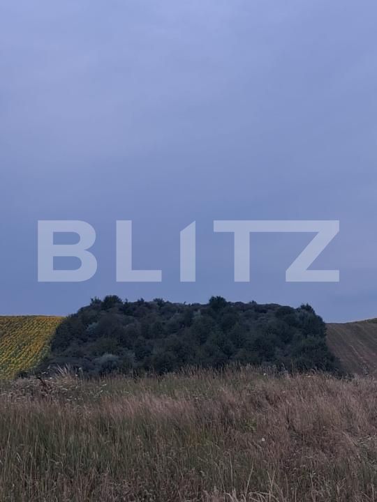 Teren de vânzare Soroceni - 204793TV | BLITZ Botoșani | Poza3