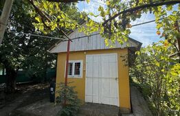 Casă individuală, 129 mp, teren 8379mp , Loc. Șoldănești, Com. Blândești