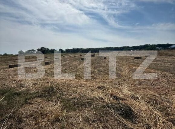 Casa de vânzare 4 camere Soldanesti - 204943CV | BLITZ Botoșani | Poza12