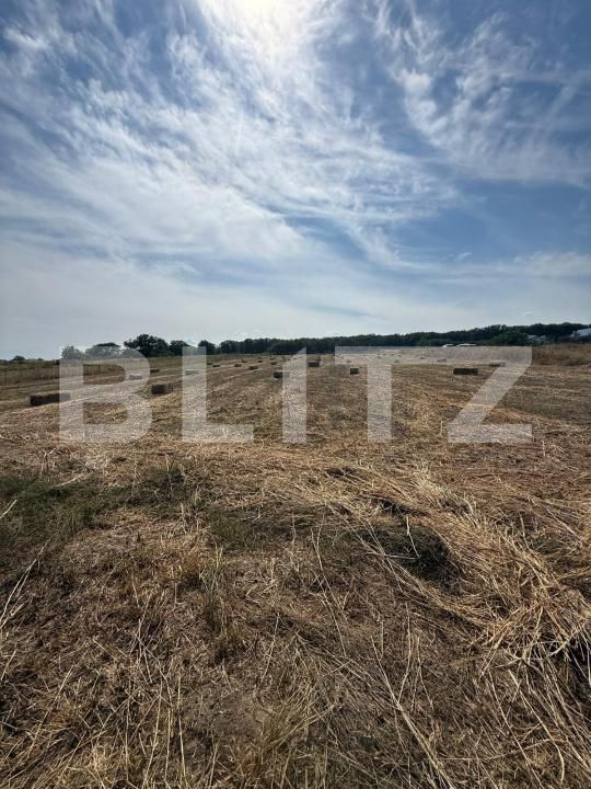 Casa de vânzare 4 camere Soldanesti - 204943CV | BLITZ Botoșani | Poza12