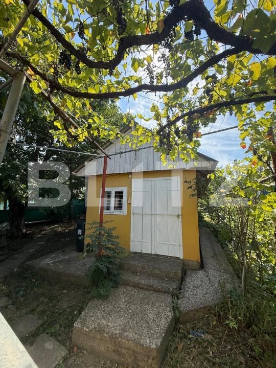 Casa de vânzare 4 camere Soldanesti - 204943CV | BLITZ Botoșani | Poza9