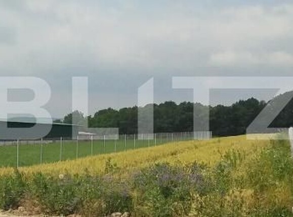 Teren de vânzare Est - 205185TV | BLITZ Botoșani | Poza1