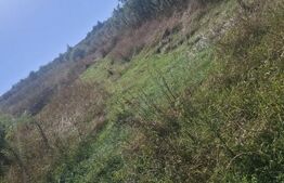 Teren intravilan de vanzare, 1.573 mp, zona Stauceni