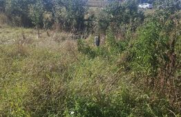 Teren intravilan de vanzare, 1.573 mp, zona Stauceni