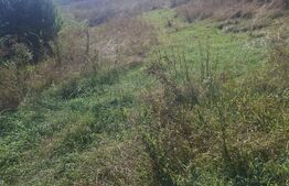 Teren intravilan de vanzare, 1.573 mp, zona Stauceni