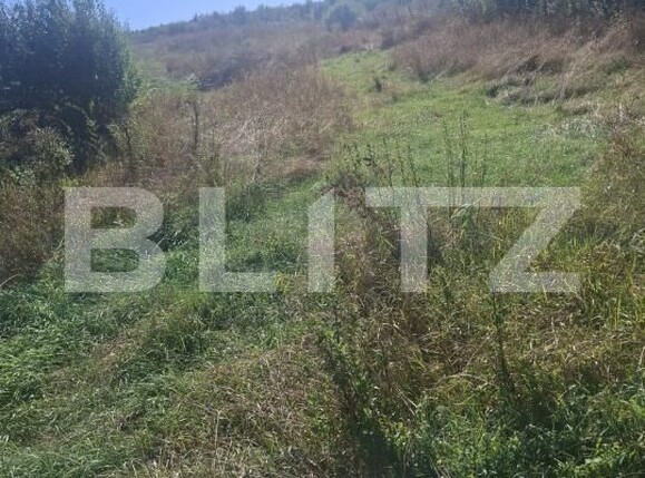 Teren de vânzare Stauceni - 205324TV | BLITZ Botoșani | Poza2