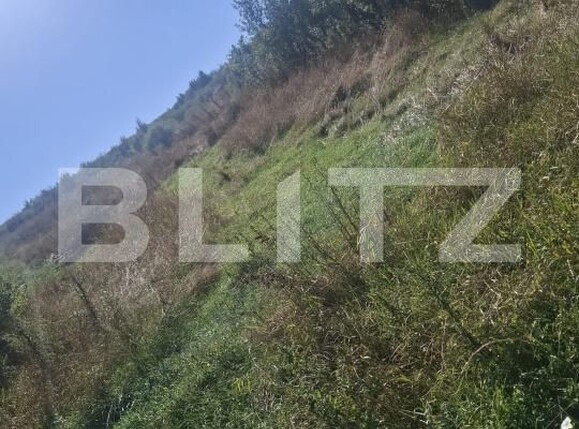 Teren de vânzare Stauceni - 205324TV | BLITZ Botoșani | Poza3
