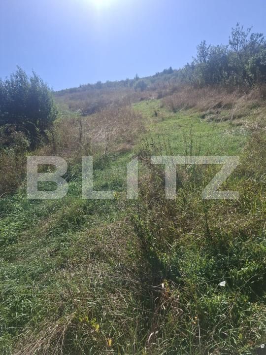 Teren de vânzare Stauceni - 205324TV | BLITZ Botoșani | Poza2