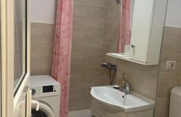 Apartament 1 camera, 24.32 mp, zona Plevna 