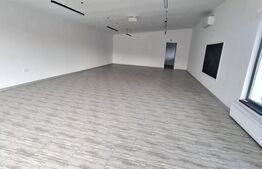 Hala Moderna 150 mp, teren 700 mp, zona Ipotesti