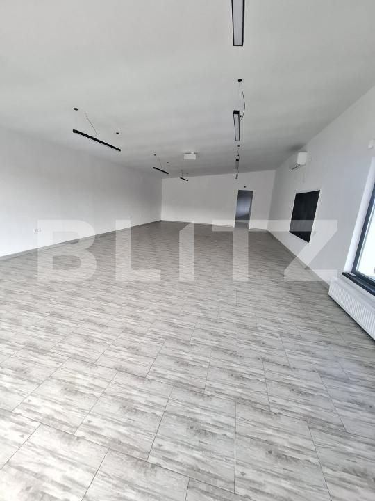 Spațiu industrial de închiriat Ipotesti - 205441SII | BLITZ Botoșani | Poza2