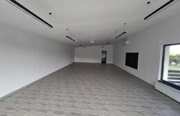 Hala Moderna 150 mp, teren 700 mp, zona Ipotesti