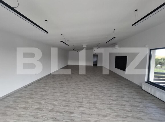Spațiu industrial de vânzare Ipotesti - 205445SVI | BLITZ Botoșani | Poza1