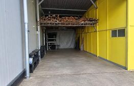 Hală industrială 946 mp, curte împrejmuită 2.231 mp, acces auto