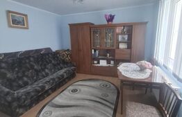 Casa 100 mp cu teren 1200 mp - Comuna Roma