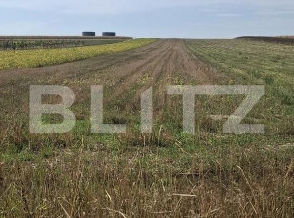 Teren de vânzare Curtesti - 206232TV | BLITZ Botoșani | Poza1