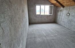 Casa 353 mp, constructie BCA, teren 10.000 mp, Saucenita