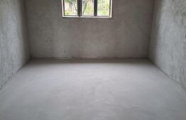 Casa 353 mp, constructie BCA, teren 10.000 mp, Saucenita
