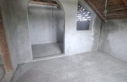 Casa 353 mp, constructie BCA, teren 10.000 mp, Saucenita