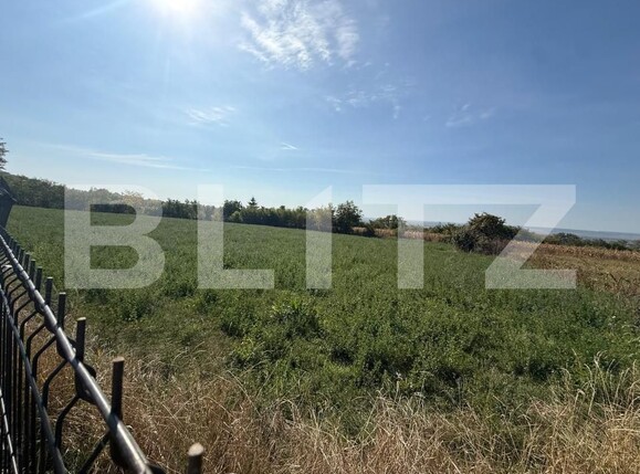 Teren de vânzare Calinesti (Bucecea) - 207515TV | BLITZ Botoșani | Poza1