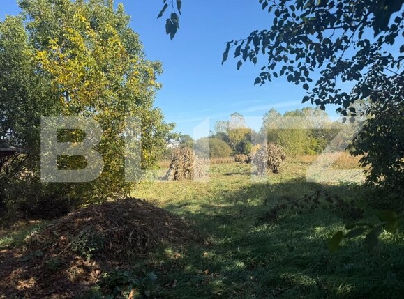 Casa de vânzare 5 camere Corni - 207917CV | BLITZ Botoșani | Poza8