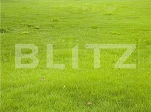 Teren de vânzare Vorona - 207982TV | BLITZ Botoșani | Poza1
