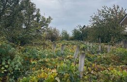 Casă de vânzare, 61 mp, zona Progresul - Dorohoi