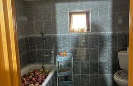 Casă de vânzare, 61 mp, zona Progresul - Dorohoi
