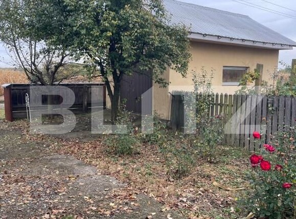 Casa de vânzare 5 camere Dorohoi - 208266CV | BLITZ Botoșani | Poza3
