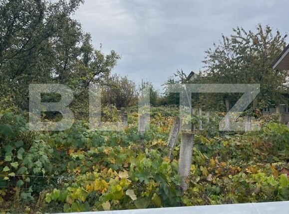 Casa de vânzare 5 camere Dorohoi - 208266CV | BLITZ Botoșani | Poza14