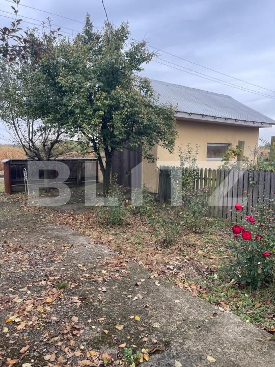 Casa de vânzare 5 camere Dorohoi - 208266CV | BLITZ Botoșani | Poza3