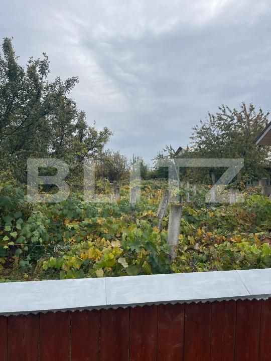 Casa de vânzare 5 camere Dorohoi - 208266CV | BLITZ Botoșani | Poza14