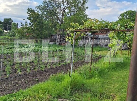 Casa de vânzare 2 camere Calinesti (Bucecea) - 208479CV | BLITZ Botoșani | Poza5