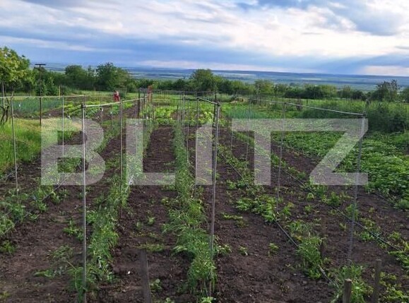 Casa de vânzare 2 camere Calinesti (Bucecea) - 208479CV | BLITZ Botoșani | Poza6
