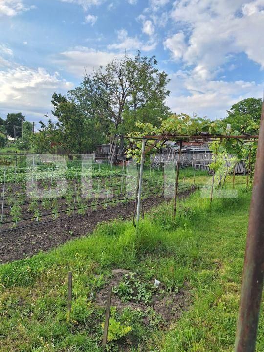 Casa de vânzare 2 camere Calinesti (Bucecea) - 208479CV | BLITZ Botoșani | Poza5
