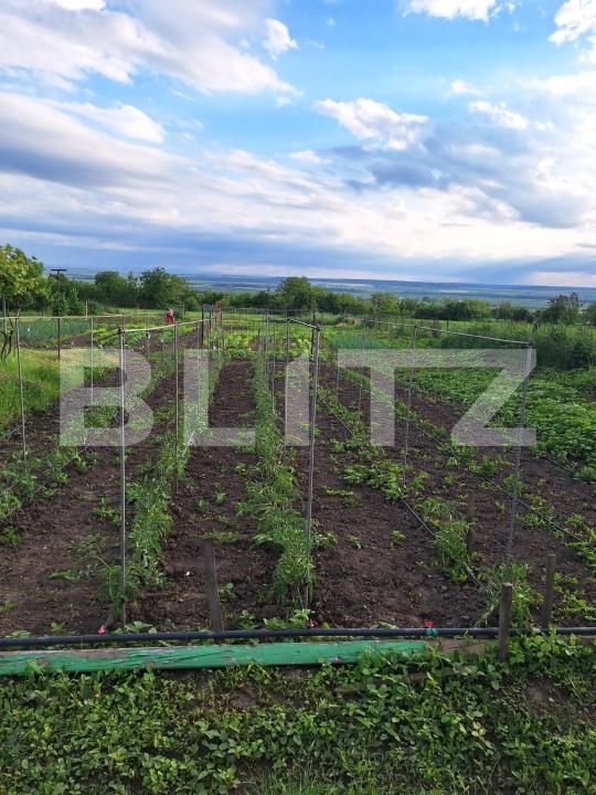 Casa de vânzare 2 camere Calinesti (Bucecea) - 208479CV | BLITZ Botoșani | Poza6
