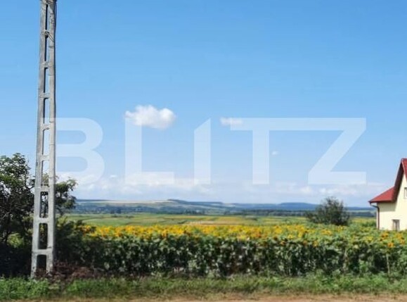Teren de vânzare Bucecea - 208612TV | BLITZ Botoșani | Poza1