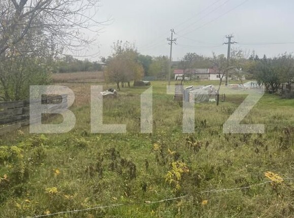 Teren de vânzare Dorohoi - 209293TV | BLITZ Botoșani | Poza4