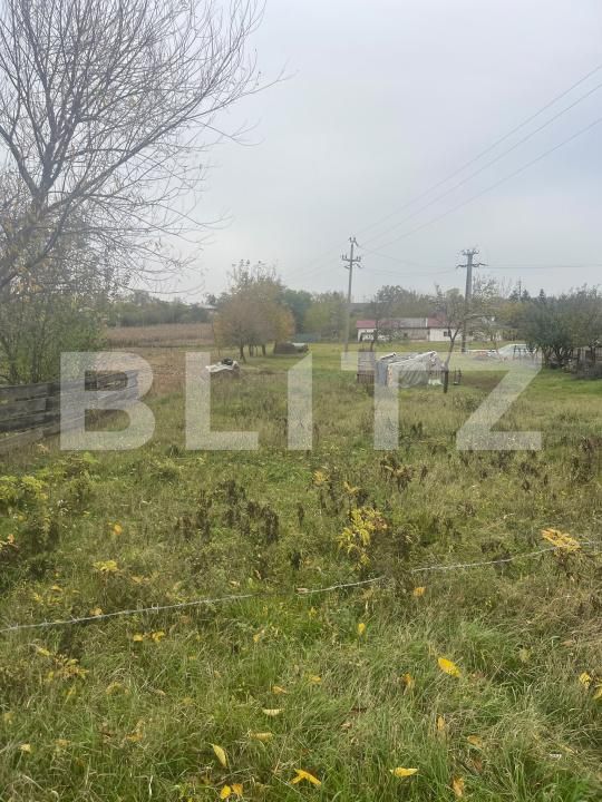 Teren de vânzare Dorohoi - 209293TV | BLITZ Botoșani | Poza4