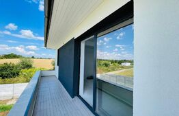 Case langa lac, 170mp utili, curte mare, Balotesti