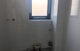 Case langa lac, 170mp utili, curte mare, Balotesti