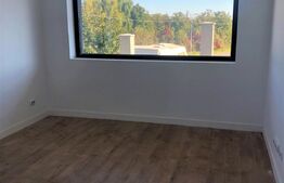 Case langa lac, 170mp utili, curte mare, Balotesti