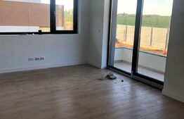 Case langa lac, 170mp utili, curte mare, Balotesti