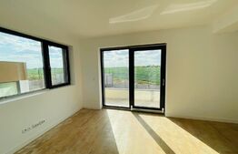 Case langa lac, 170mp utili, curte mare, Balotesti