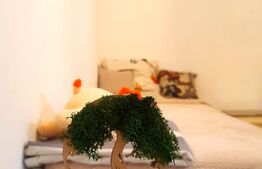 Oferta Speciala doar pentru luna martie !!! Apartament 4 camere, 66 mp, decomandat, Stefan cel Mare