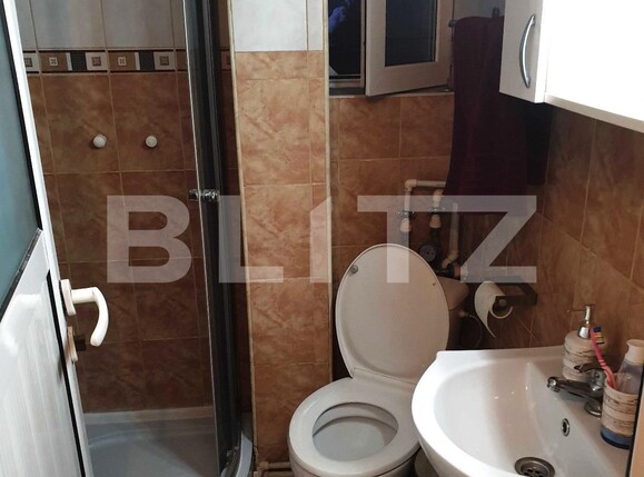Apartament 4 camere, Vasile Lascar | Poza17
