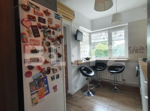 Apartament 4 camere, Vasile Lascar | Poza9