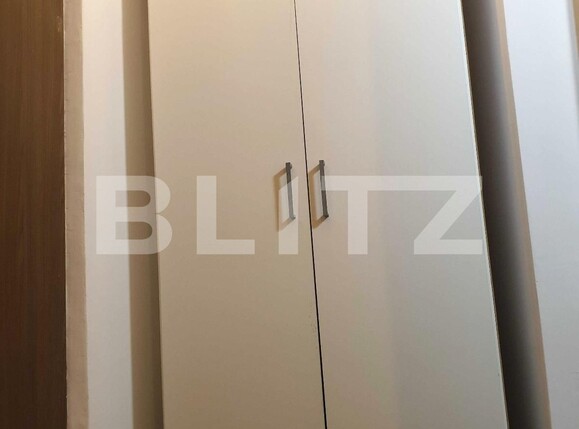 Apartament 4 camere, Vasile Lascar | Poza13