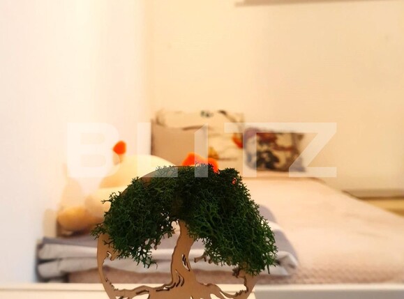 Apartament 4 camere, Vasile Lascar | Poza3